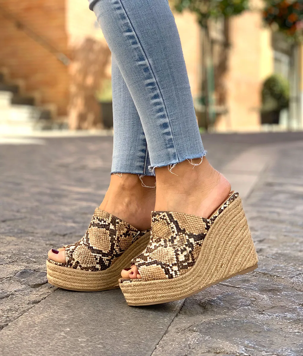 cuñas