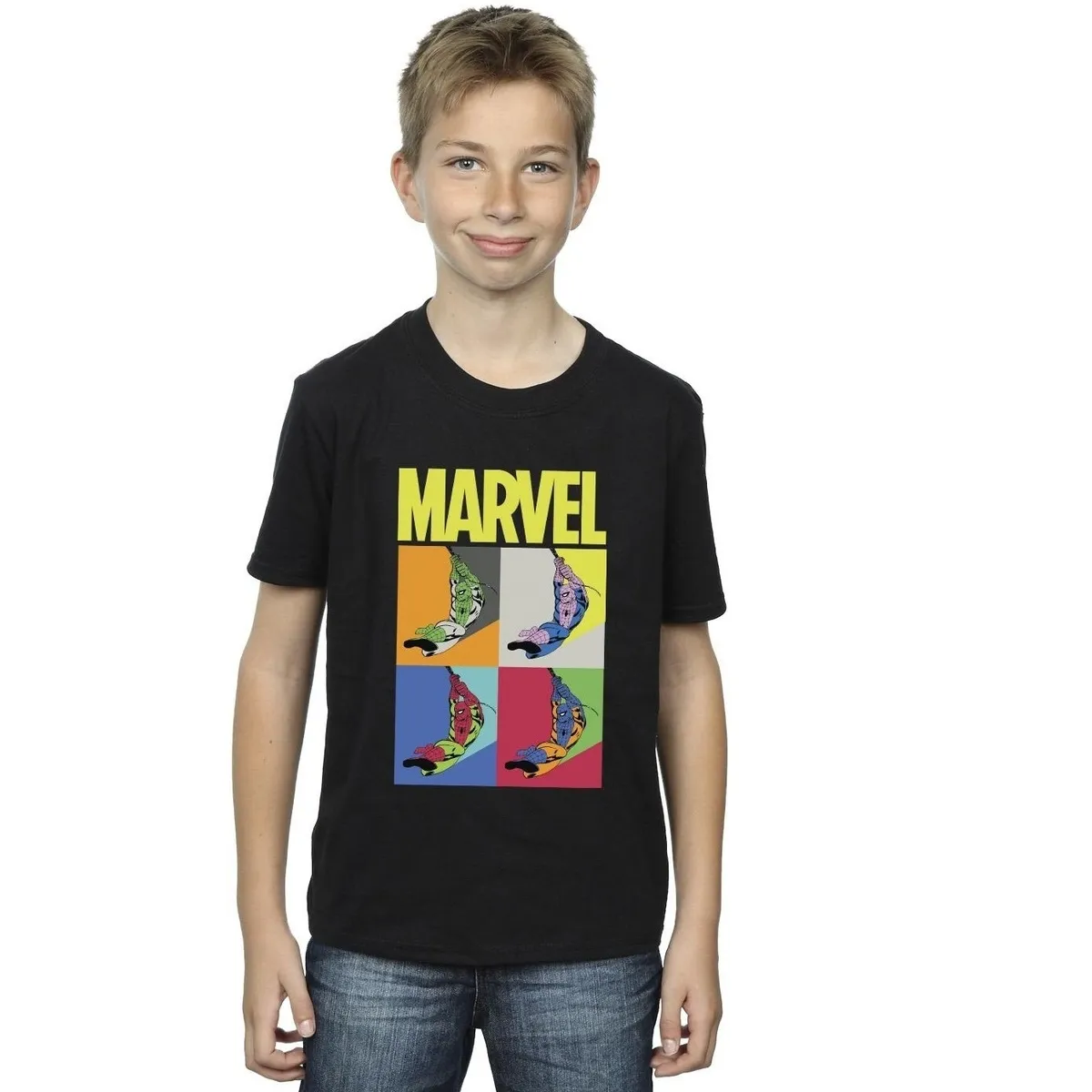 SPIDERMAN POP ART