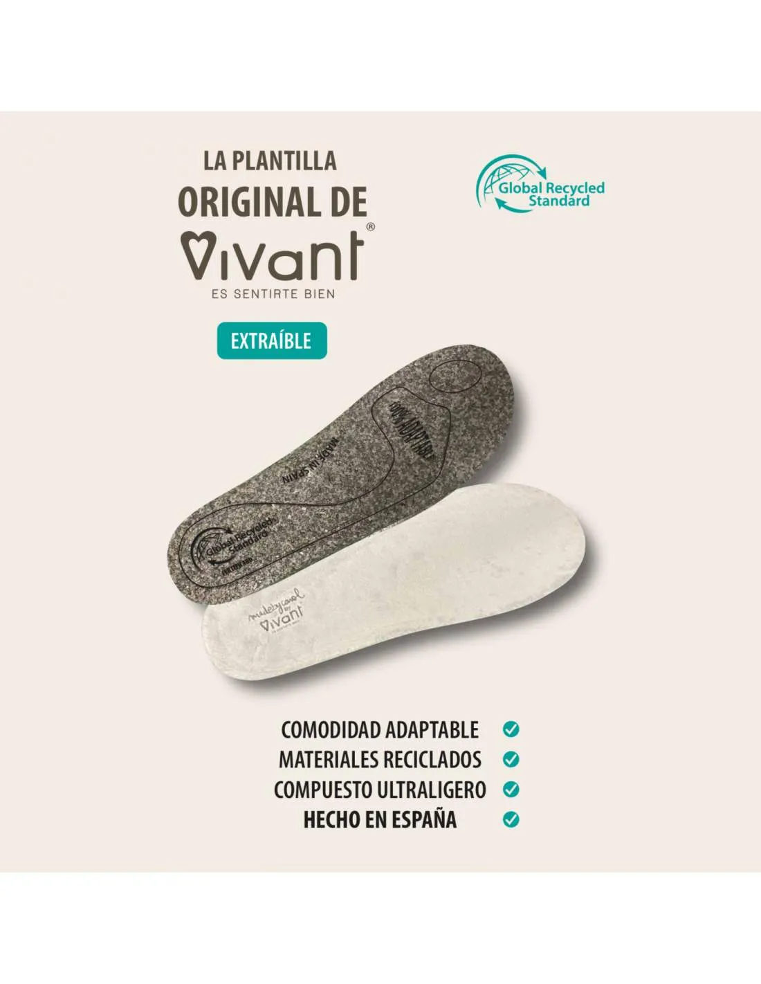 Zapatilla de Casa Inverness Reality Gris